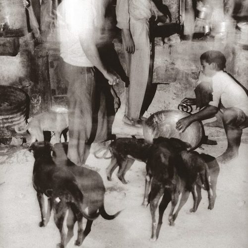 dogs wait for scraps as bowls are washed outside one evening in Pushkar Rajasthan