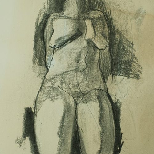 Solfrid January 2019. charcoal on tinted paper (sold)